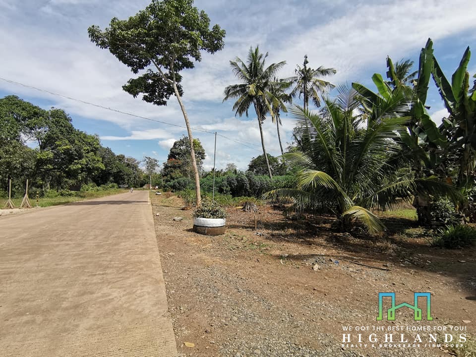 Land for Sale Ideal for Industrial Plant at Barangay Mantibugao Manolo ...